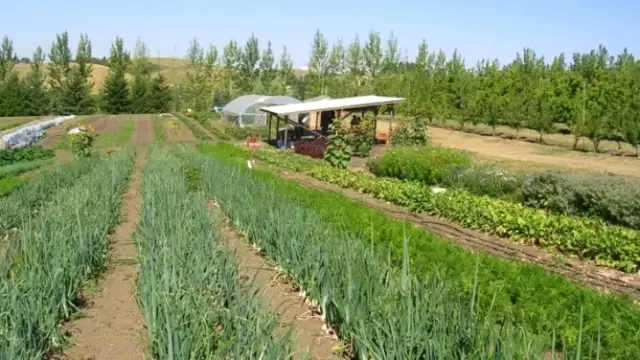 Hozat Kadınları Üretiyor Hozat Kadınları Üretiyor