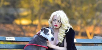 Televizyon Yıldızı Courtney Stodden, Sütyeniyle Köpek Gezdirmeye Çıktı