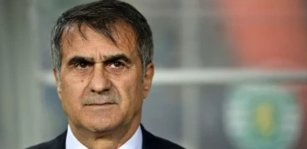 Beşiktaş Teknik Direktörü Güneş'e Aa 2016 Yıllığı