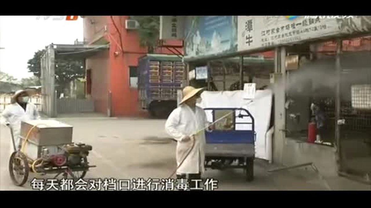 Çin'in Yarısında Kuş Gribi Vakası Görüldü