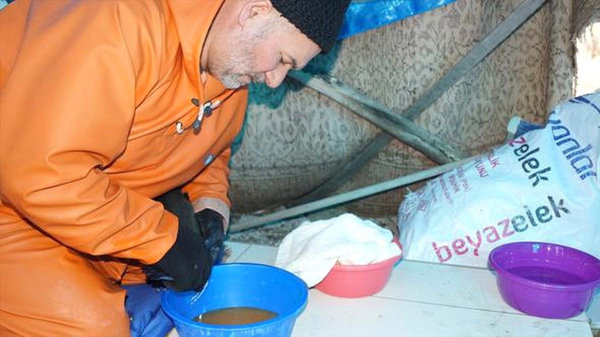 Bitlis'te Alabalık Sağımı