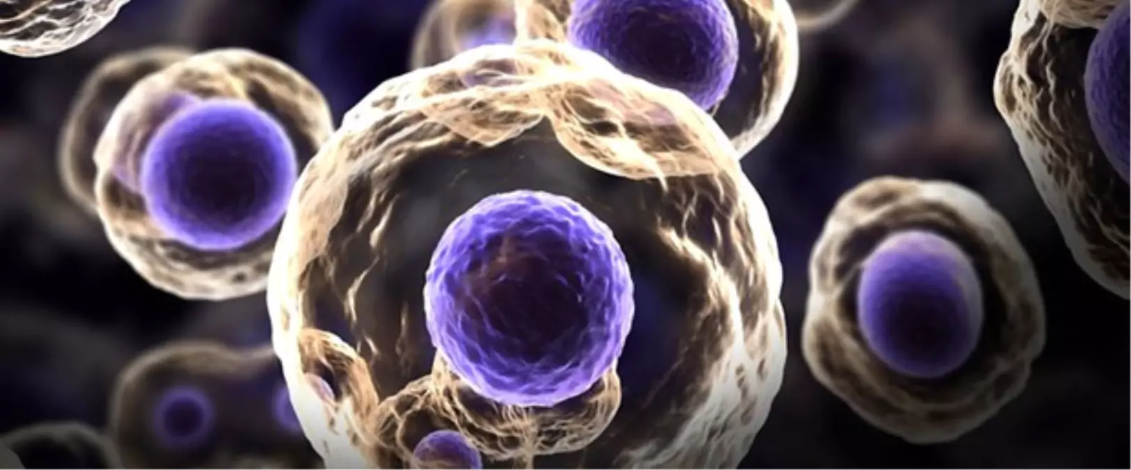 Ege'de 'Melanom ve Melanom Dışı Deri Kanserleri Sempozyumu' düzenlenecek