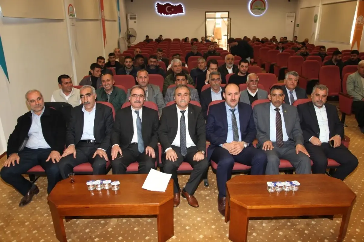 Güneşer: 'Kırmızı Et Açığını, Daha Fazla Süt Tüketerek Kapatabiliriz'