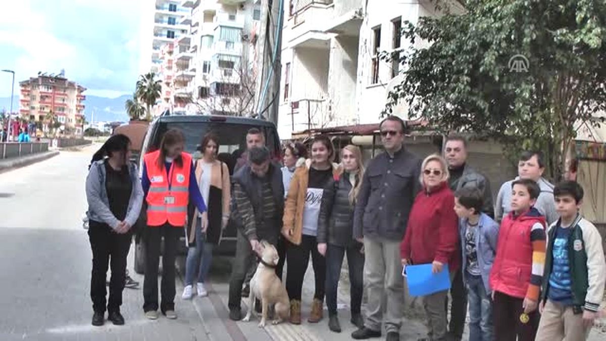 Antalya'nın Alanya İlçesinde Zehirlenen Kedi Sayısı 50'ye Ulaştı