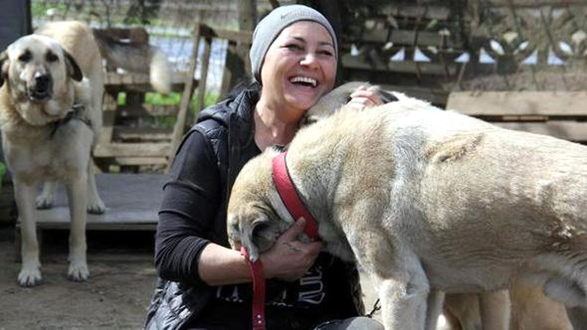 Öğretmenliği Bıraktı, Veterinerlik Eğitimi Aldı, Kurduğu Barınakta 400 Köpeğe Bakıyor