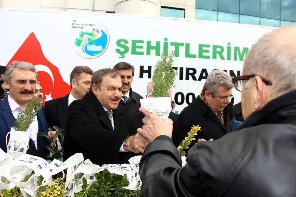 Bakan Eroğlu 10 Bin Fidan Dağıtım Etkinliğine Katıldı Bakan Eroğlu 10 Bin Fidan Dağıtım Etkinliğine Katıldı