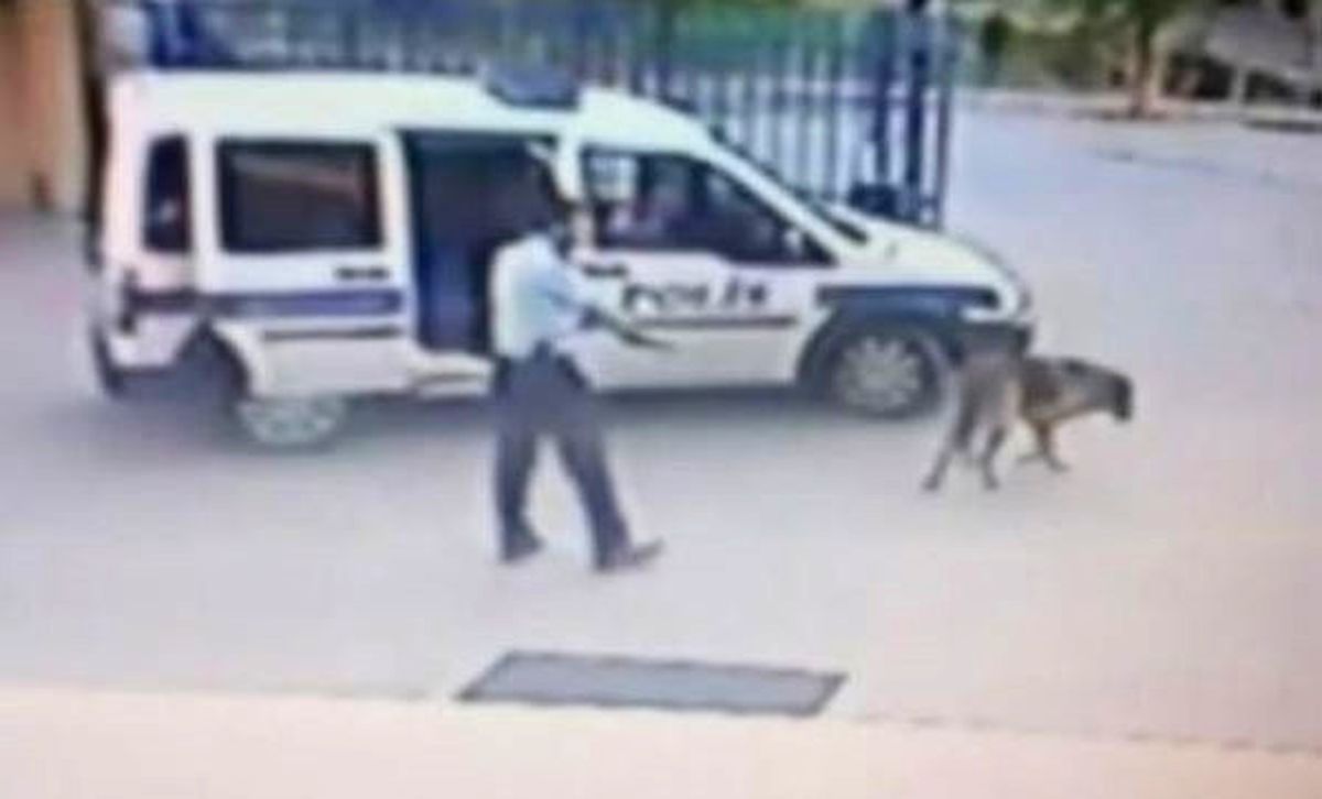 Türkiye'nin Gündemine Oturmuştu! Köpeği Vuran Komiser FETÖ'cü Çıktı