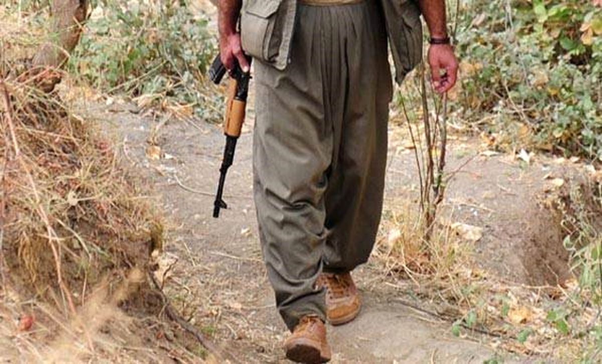 Terör Örgütüne Darbe! 10 Yıldır Aranan PKK'lı Yakalandı