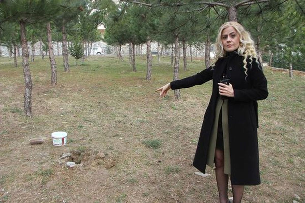 Kediler İçin Kurulan Beslenme Kapları Tahrip Edildi, Onlarca Sokak Kedisi Aç Kaldı