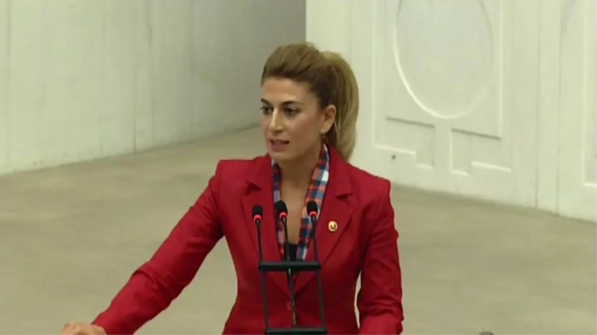Dha Ankara - CHP'li Engin, Yoğun Bakım Kapasitelerini Meclis Gündemine Taşıdı