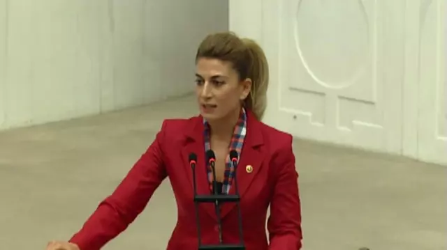 Dha Ankara - CHP'li Engin, Yoğun Bakım Kapasitelerini Meclis Gündemine Taşıdı Dha Ankara - CHP'li Engin, Yoğun Bakım Kapasitelerini Meclis Gündemine Taşıdı