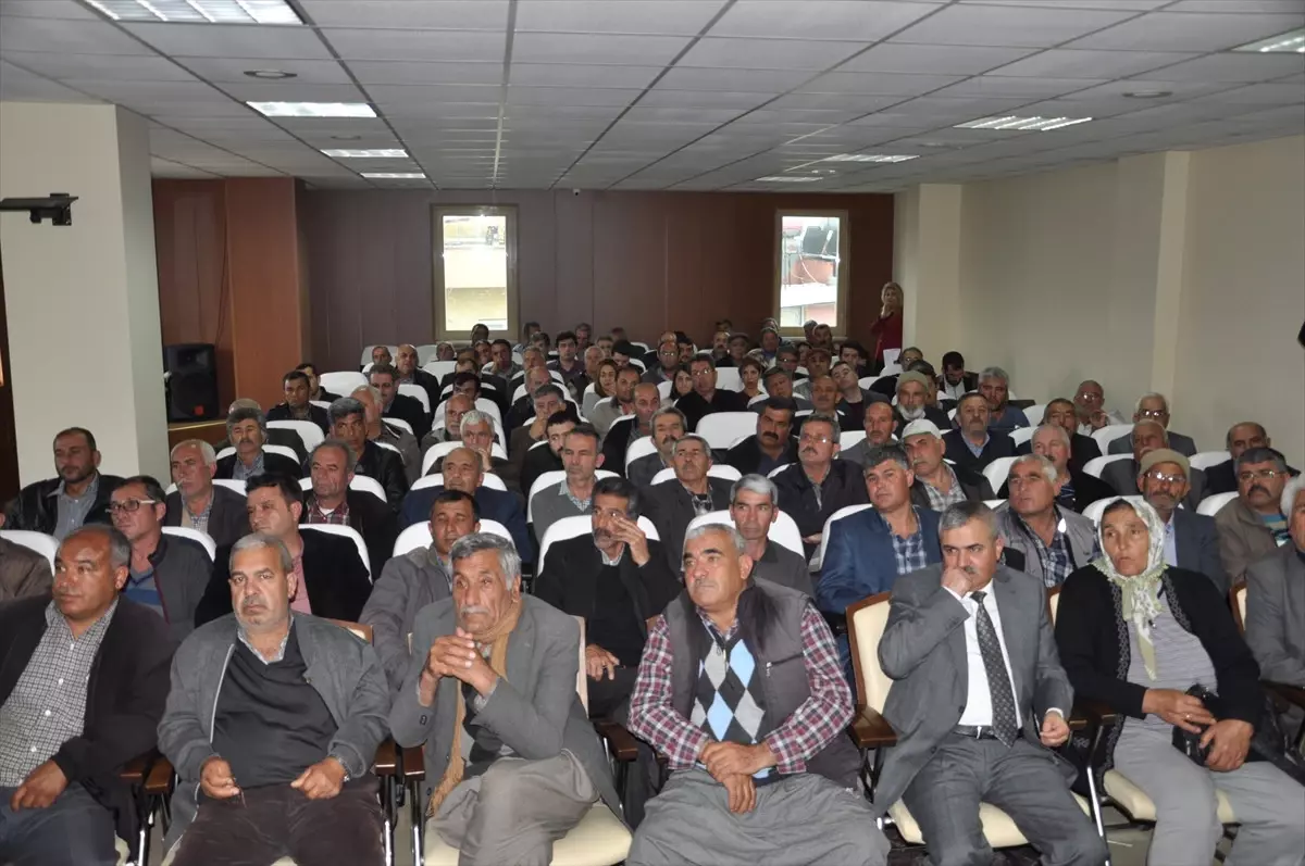 Tarsus'ta Arı Ölümlerine Karşı Çiftçiler Bilgilendirildi
