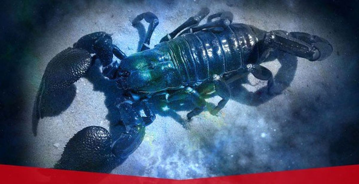 6 - 12 Mart 2017 Tarihlerinde Akrep Burcunu Neler Bekliyor?
