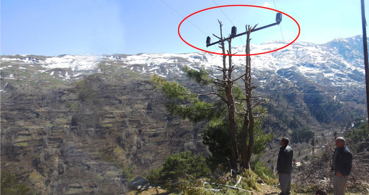 Vatandaşlar Tedirgin! Çam Ağacını Budayıp Elektrik Direği Yaptılar