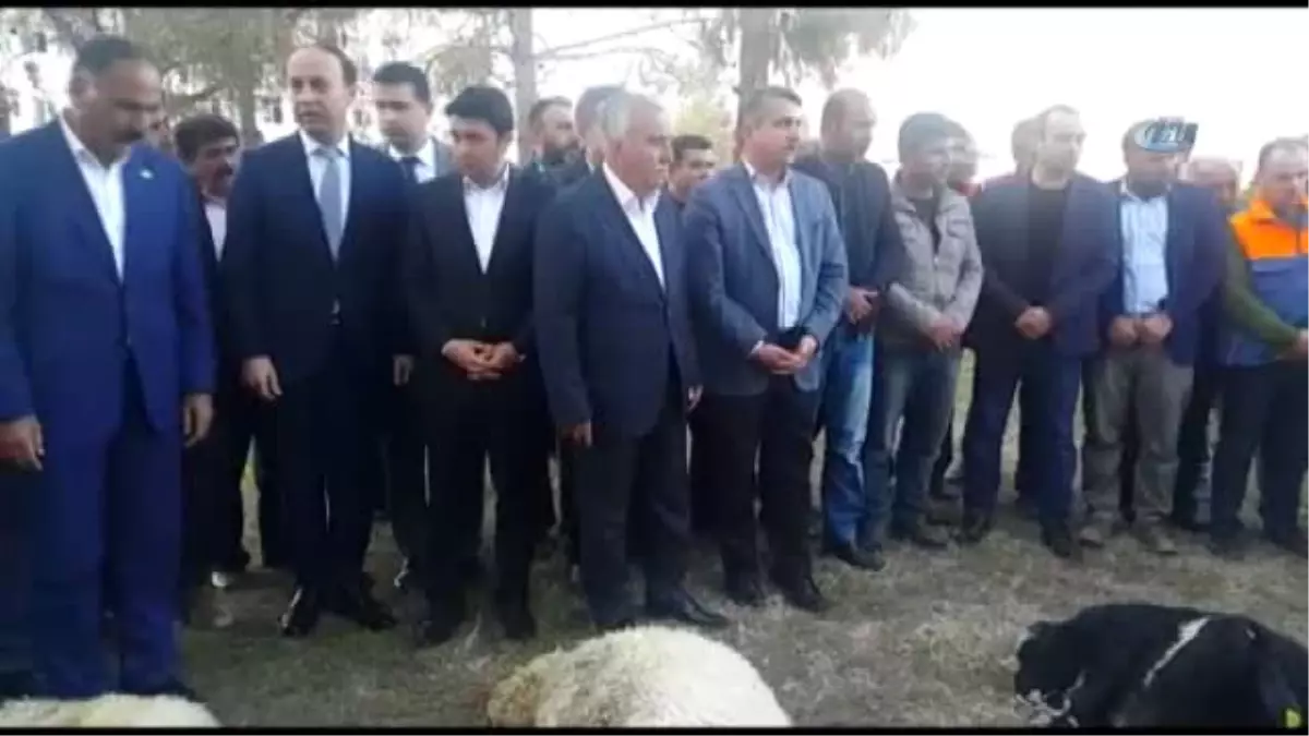 Deprem Bölgesinde Kurbanlar Kesildi