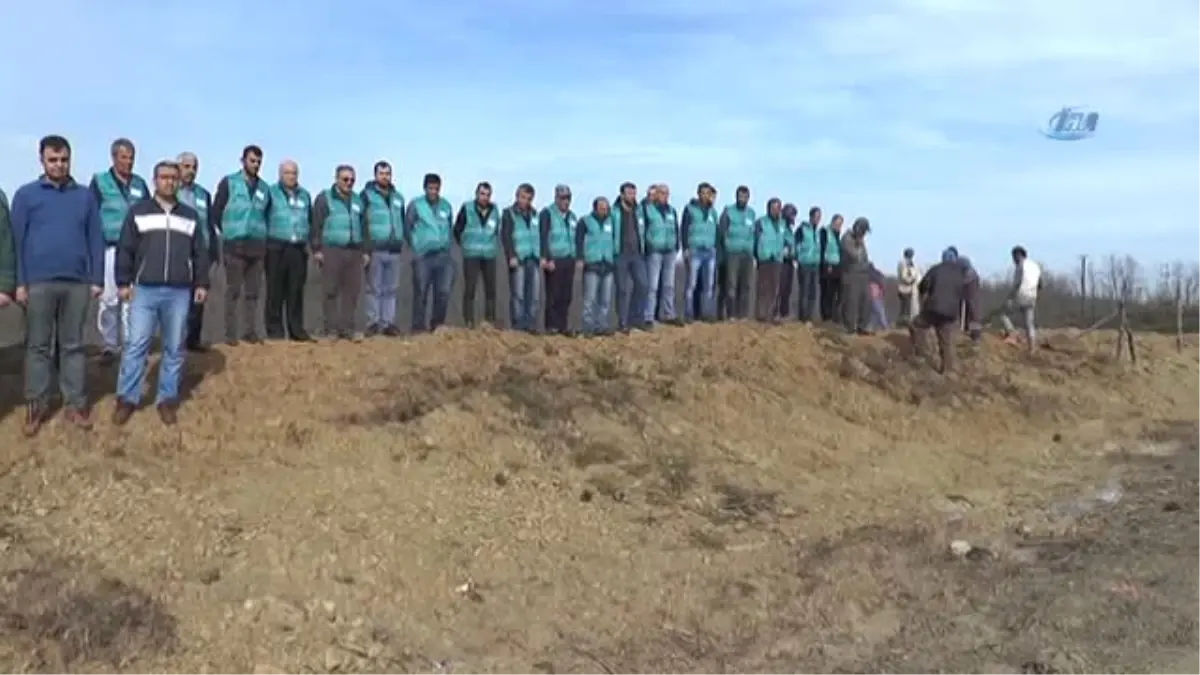 Gebze'de 50 Denetimli Serbestlik Hükümlüsü 5 Bin Fidan Dikti