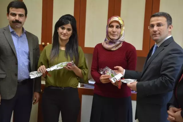 Kaymakam Çimşit'ten Kurumlarda Çalışan Bayan Personele Karanfil