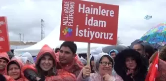 Darbecilere Yumurtalı, Urganlı Protesto