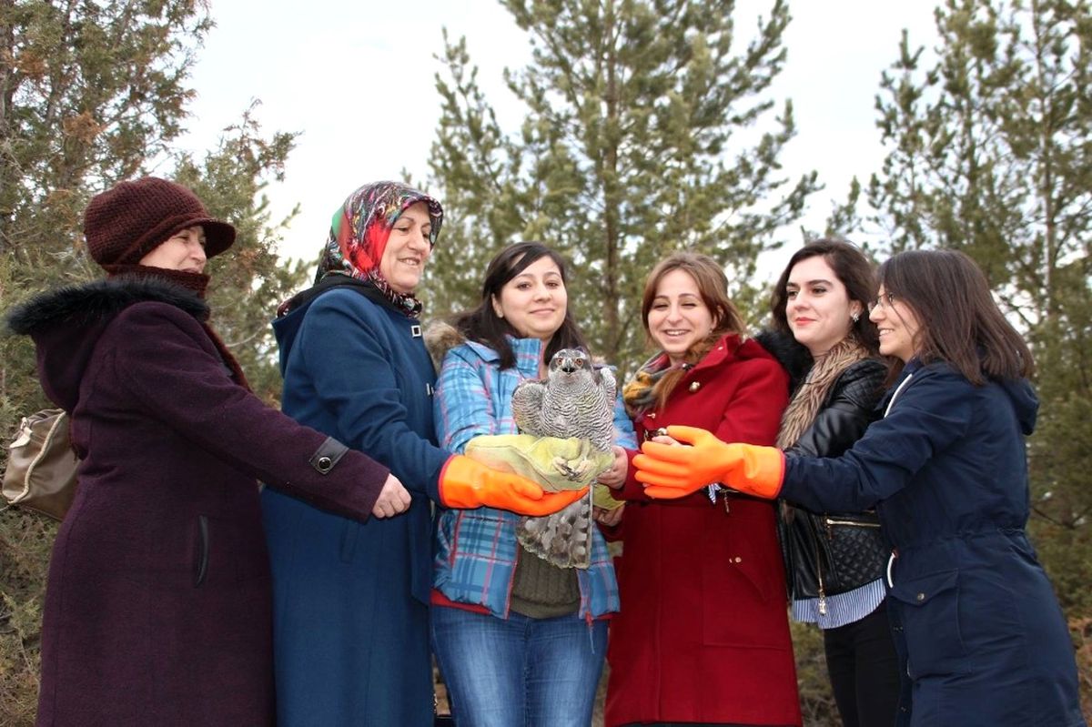 Tedavisi Tamamlanan 'Çakır'ı Doğaya Kadınlar Salıverdi