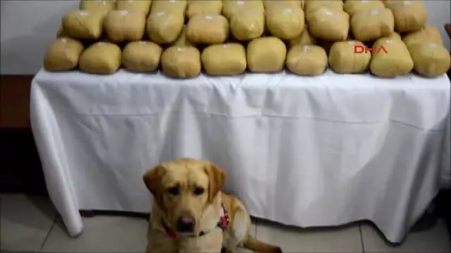 Başkale'de 70 Kilo Esrar Ele Geçirildi