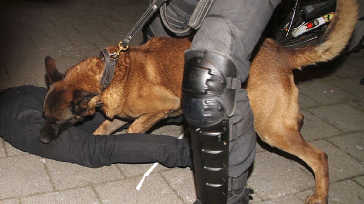 Hollanda Polisi Türklere Köpeklerle Saldırdı
