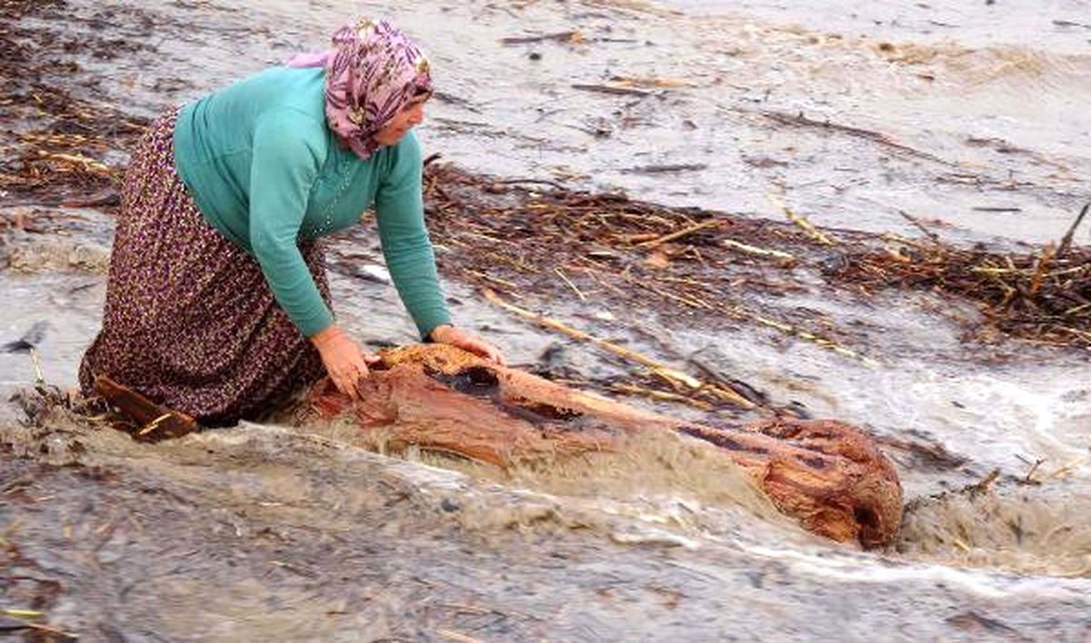 Sel Sularının Getirdiği Ağaç Parçaları Dar Gelirliye Umut Oldu