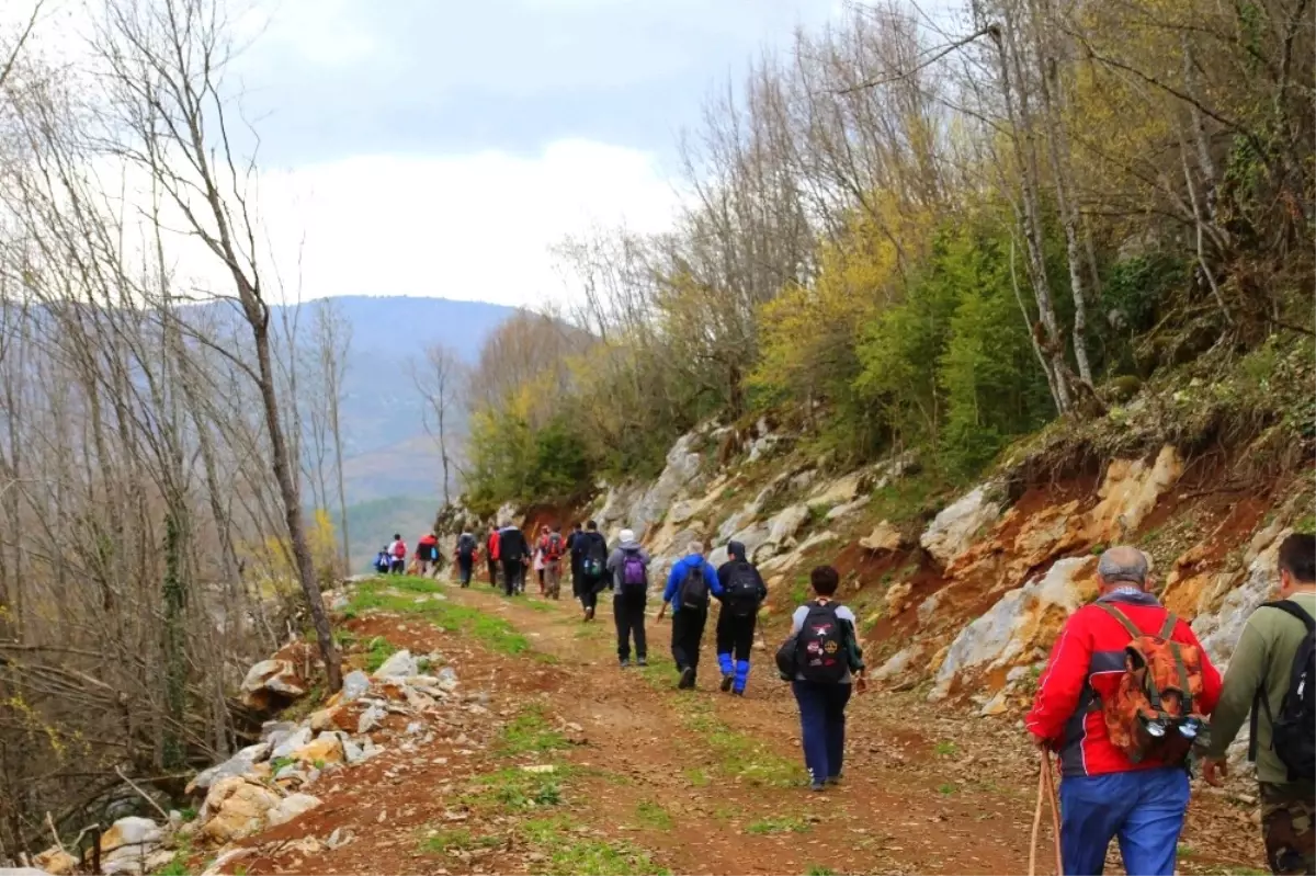 Doğaseverler Ulkaya Şelalesi'ni Keşfetti