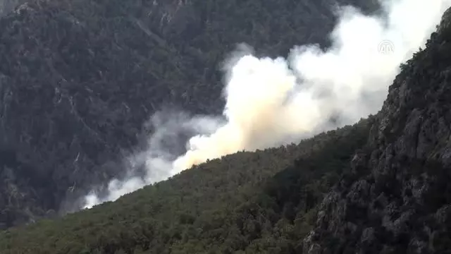 Antalya'da Orman Yangını