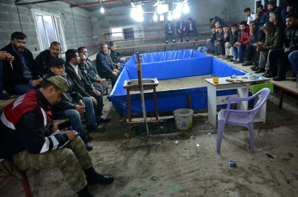 Horoz Dövüşüne Jandarma Baskını: 17 Horoz Ele Geçirildi