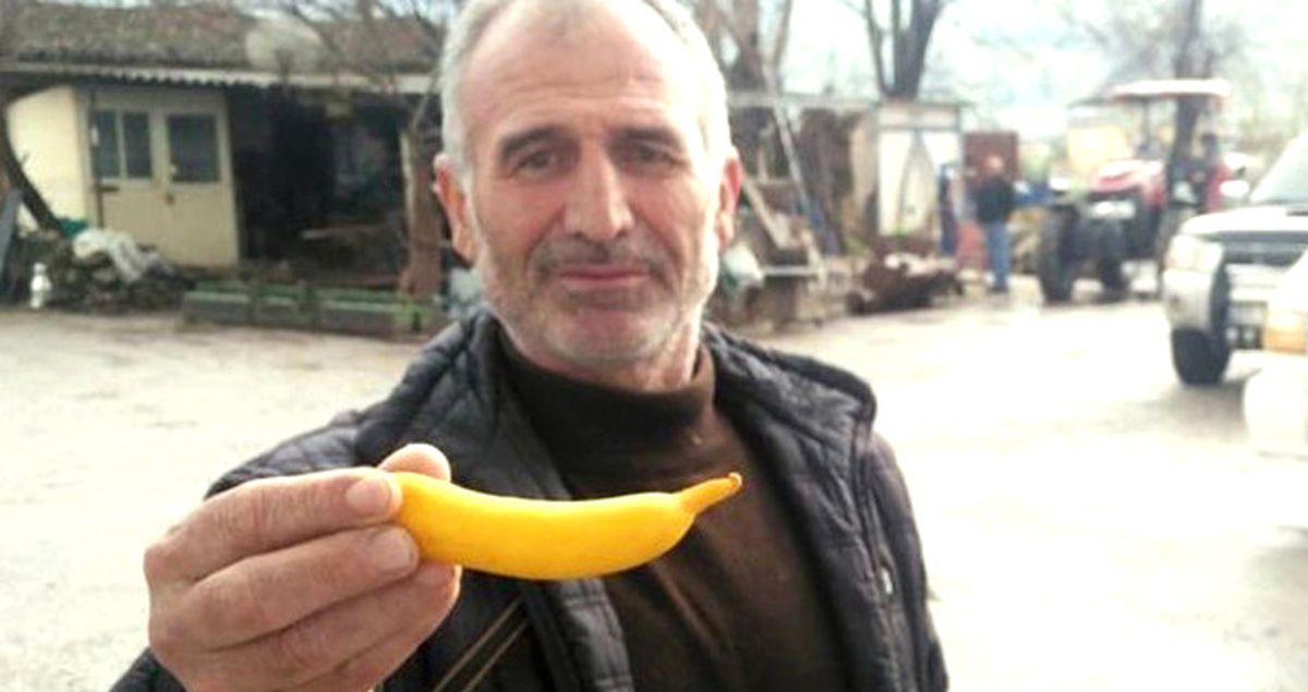 Muz Görünümlü Limon, Görenleri Şaşkına Çeviriyor
