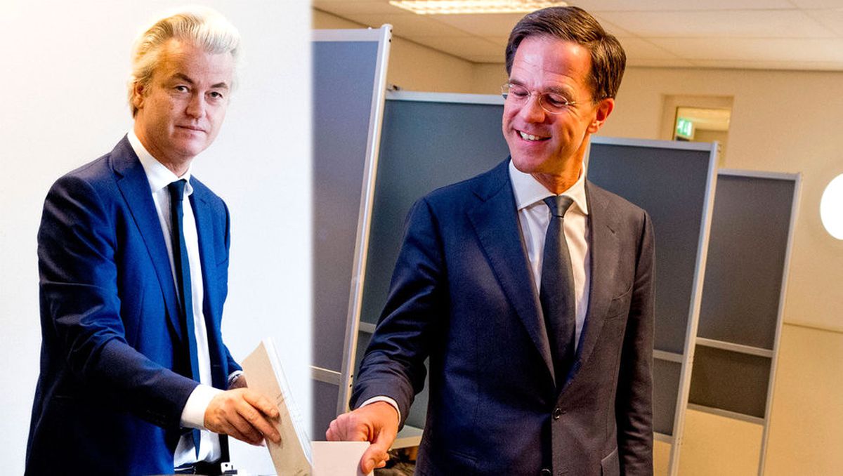 Hollanda'da Sandıklar Kapandı! Başbakan Rutte Kazandı