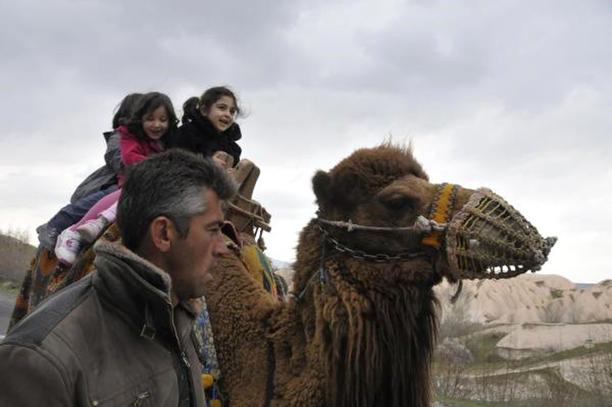 Soğuk Hava, Kapadokya'daki Develeri de Üşüttü