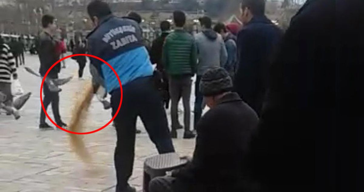 Zabıtalar, Yaşlı Adamın 1 TL'ye Sattığı Yemlerini Yerlere Döktü