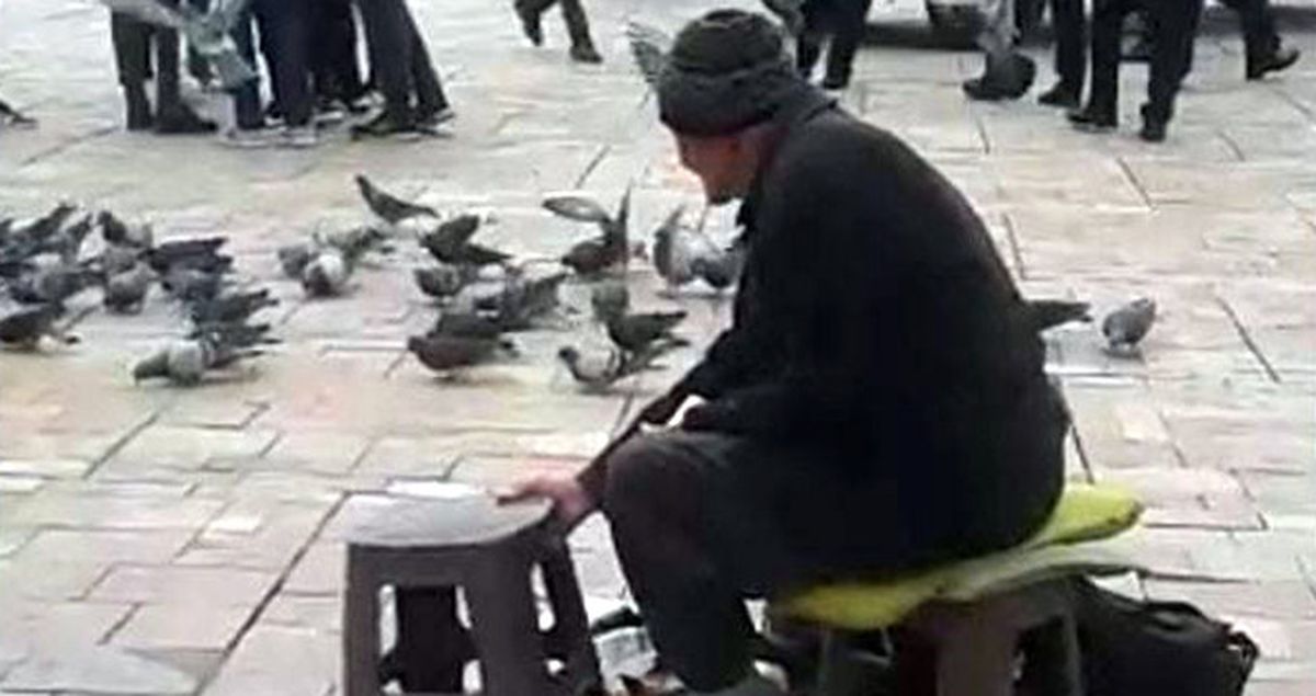 Zabıtalar Yaşlı Adamın 1 TL'ye Sattığı Yemleri Döktü