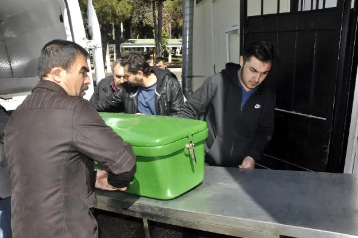 Kocasını Aldattığını Düşündüğü Ablasını Öldürdü