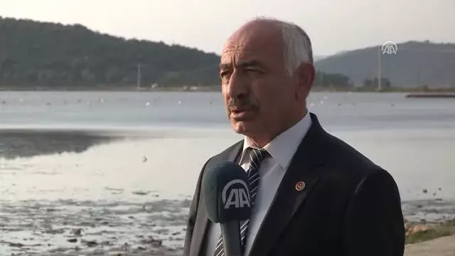 Tuzla'nın Allı Turnaları Internetten Canlı Yayınlanacak Tuzla'nın Allı Turnaları Internetten Canlı Yayınlanacak