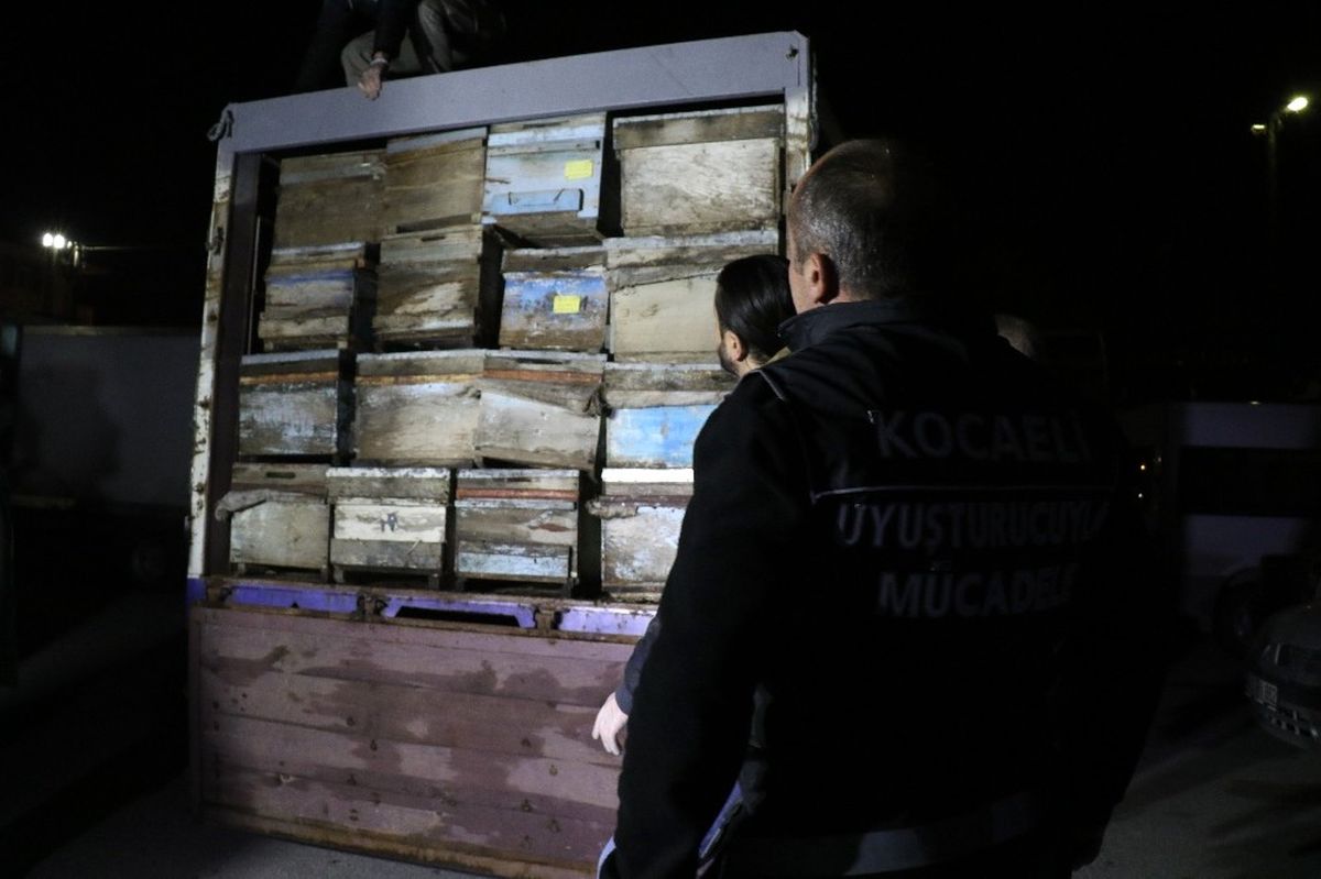 Arı Kovanlarının Arasında 350 Kilo Esrar Ele Geçirildi