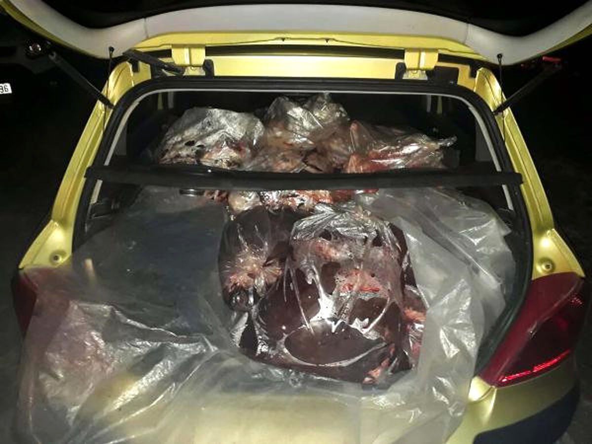 Balıkesir'de Otomobil Bagajında 250 Kilo Kaçak Et Ele Geçirildi