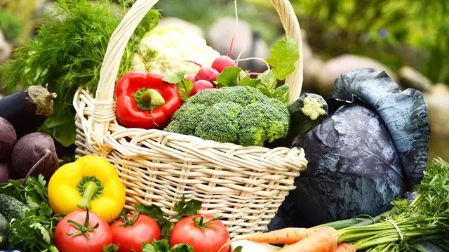 Organik Tarım Desteği Başvurularında Son Gün 24 Mart
