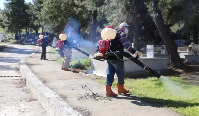 Edirne'den Kısa Kısa
