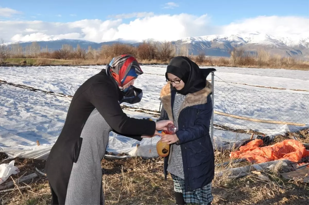 Lise Öğrencisi Atık Maddeler ile Tarımsal Bitkilerin Donmamasını Sağlayan Solüsyon Geliştirdi