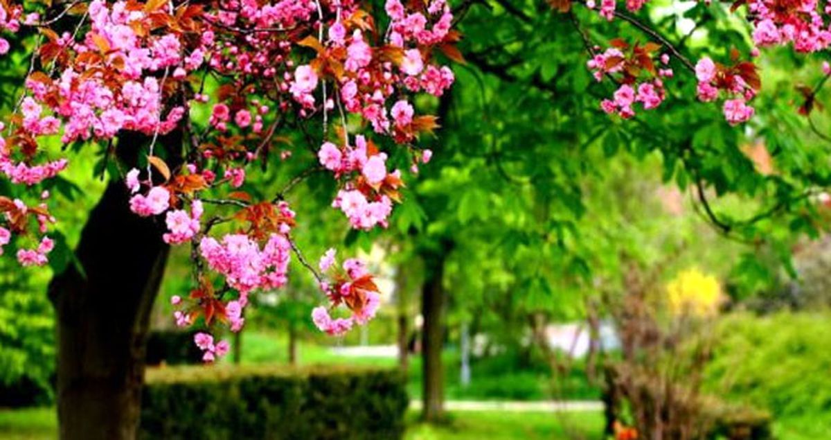 Nevruz Ne Demek, Nevruz Neden 21 Mart'ta Kutlanır?