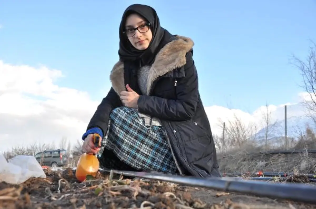 Öğrenci, Bitkileri Donmaya Karşı Koruyan Solüsyon Yaptı