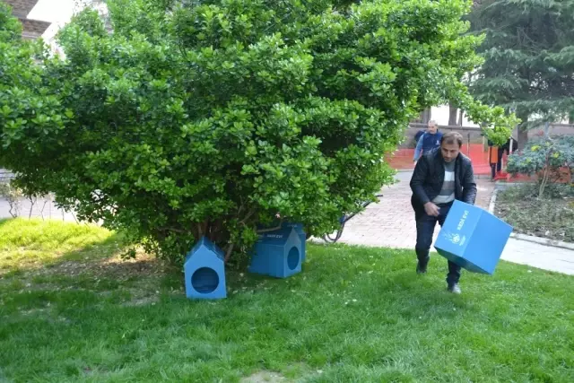 Şehzadeler'den Sokak Hayvanları İçin Yeni Proje