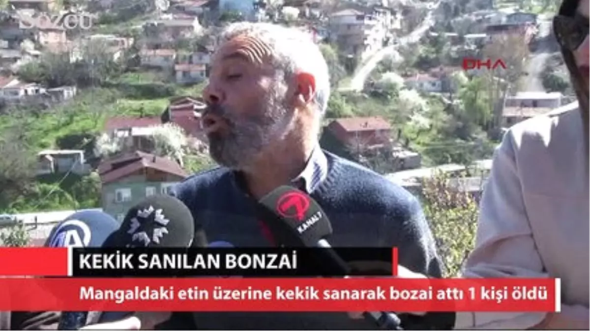 Kekik Zannedip Mangal Etine Attığı Bonzai Can Aldı