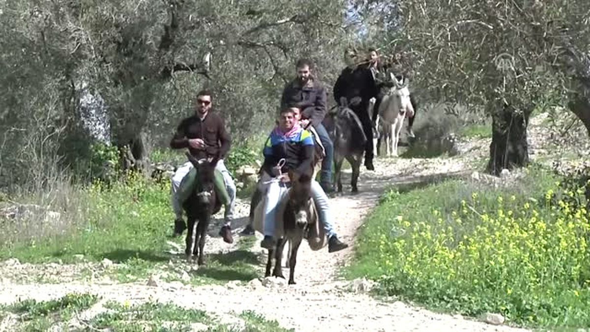 Filistin'de 'Merkep' Üzerinde Tarih Yolculuğu