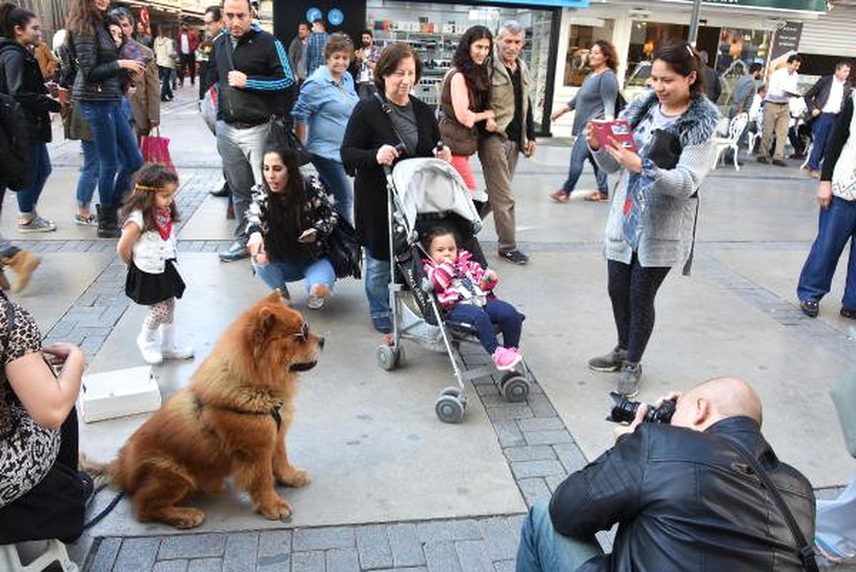 Karizmatik Köpek Max, Alsancak'a Damgasını Vurdu