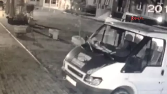 Tirebolu'da Sokak Köpeklerinin Zehirli Etle Itlaf Edildiği Iddia Edildi Tirebolu'da Sokak Köpeklerinin Zehirli Etle Itlaf Edildiği Iddia Edildi