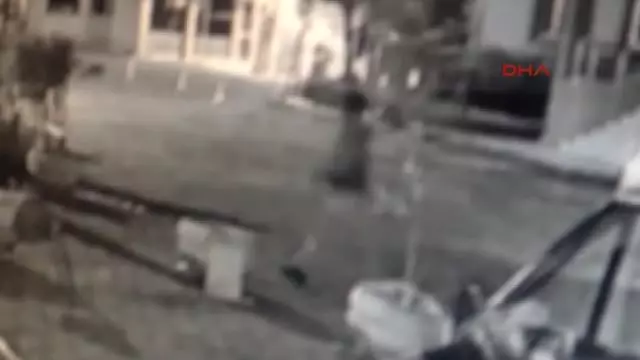 Tirebolu'da Sokak Köpeklerinin Zehirli Etle Itlaf Edildiği Iddia Edildi Tirebolu'da Sokak Köpeklerinin Zehirli Etle Itlaf Edildiği Iddia Edildi