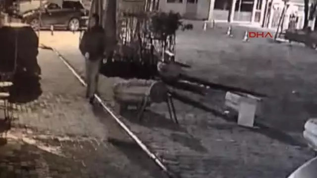 Tirebolu'da Sokak Köpeklerinin Zehirli Etle Itlaf Edildiği Iddia Edildi Tirebolu'da Sokak Köpeklerinin Zehirli Etle Itlaf Edildiği Iddia Edildi